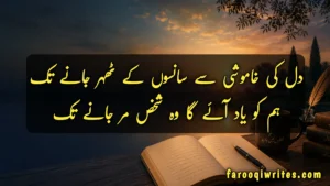 Urdu poetry status 