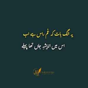 Sad Urdu poetry 2 lines text